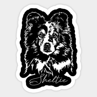 Funny Proud Sheltie Sheepdog dog portrait Sticker